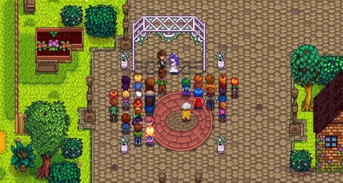 星露谷物语怎么结婚[图1]