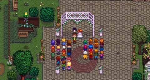 星露谷物语怎么结婚[图2]