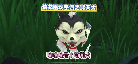 倩女幽魂带狗什么意思[图2]