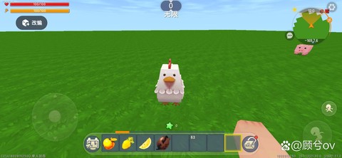 迷你世界里鸡爱吃什么[图1]