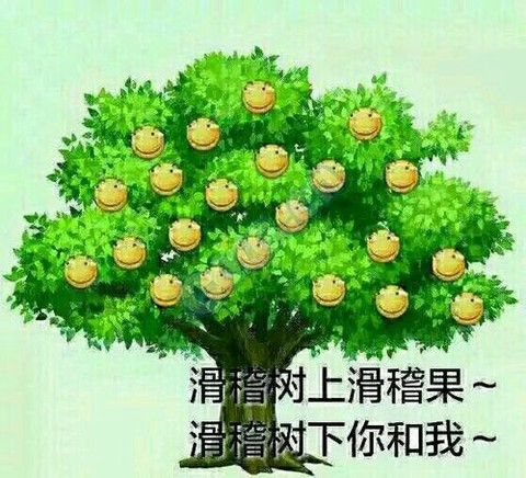 dnf滑稽树是什么意思[图1]