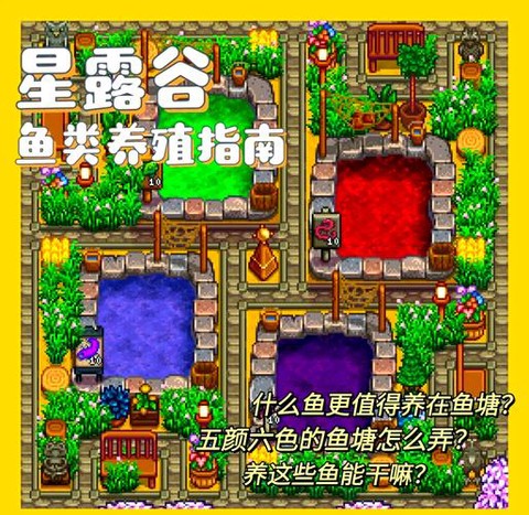 星露谷物语什么鱼塘[图2]