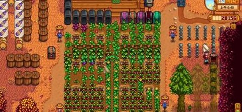 星露谷物语耕种10级选什么[图2]