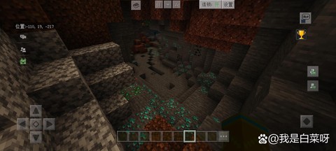 我的世界怎么找矿石[图2]