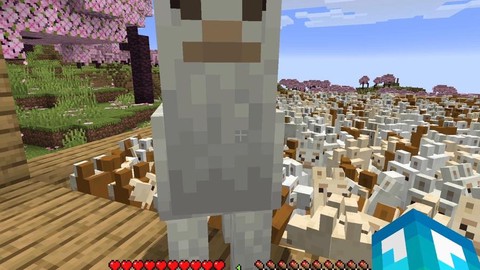 我的世界羊驼怎么驯化