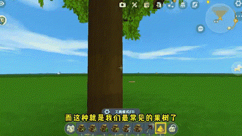 迷你世界果树怎么长大[图1]