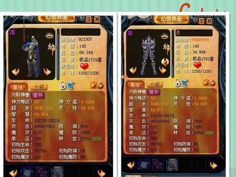 魔域战士攻防型怎么样