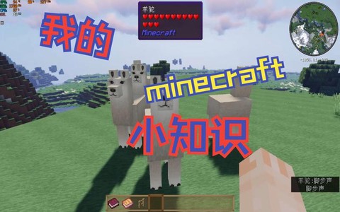 我的世界怎么养羊驼