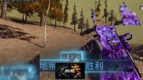 使命召唤16吃鸡怎么玩