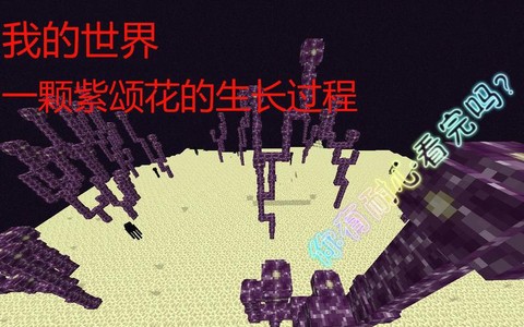 我的世界紫颂花怎么种[图1]