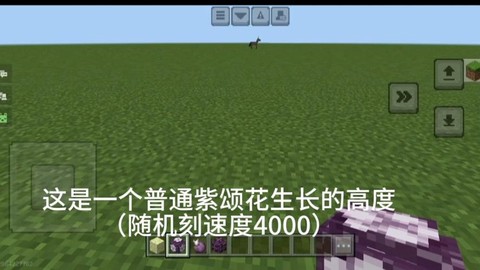 我的世界紫颂花怎么种[图2]