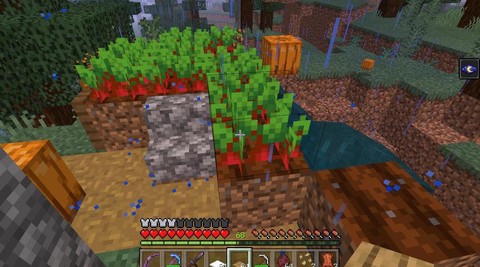 我的世界甜菜种子怎么得[图2]